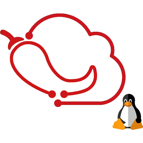 VPS Linux PRO